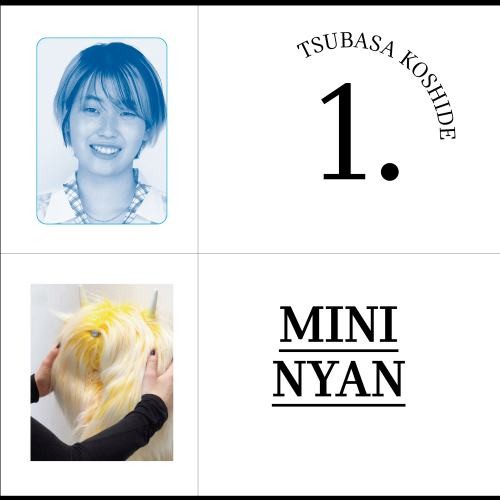 Цубаса Кошиде: рулевое колесо MINI NYAN для MINI.